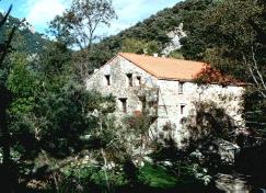 Apartment to rent in Mas de la Fargassa, Languedoc Rousillion, France