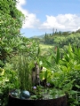 Apartment to rent in Kauai, Hawaii, USA