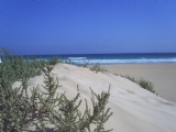 Apartment to rent in Costa Antigua, Fuerteventura